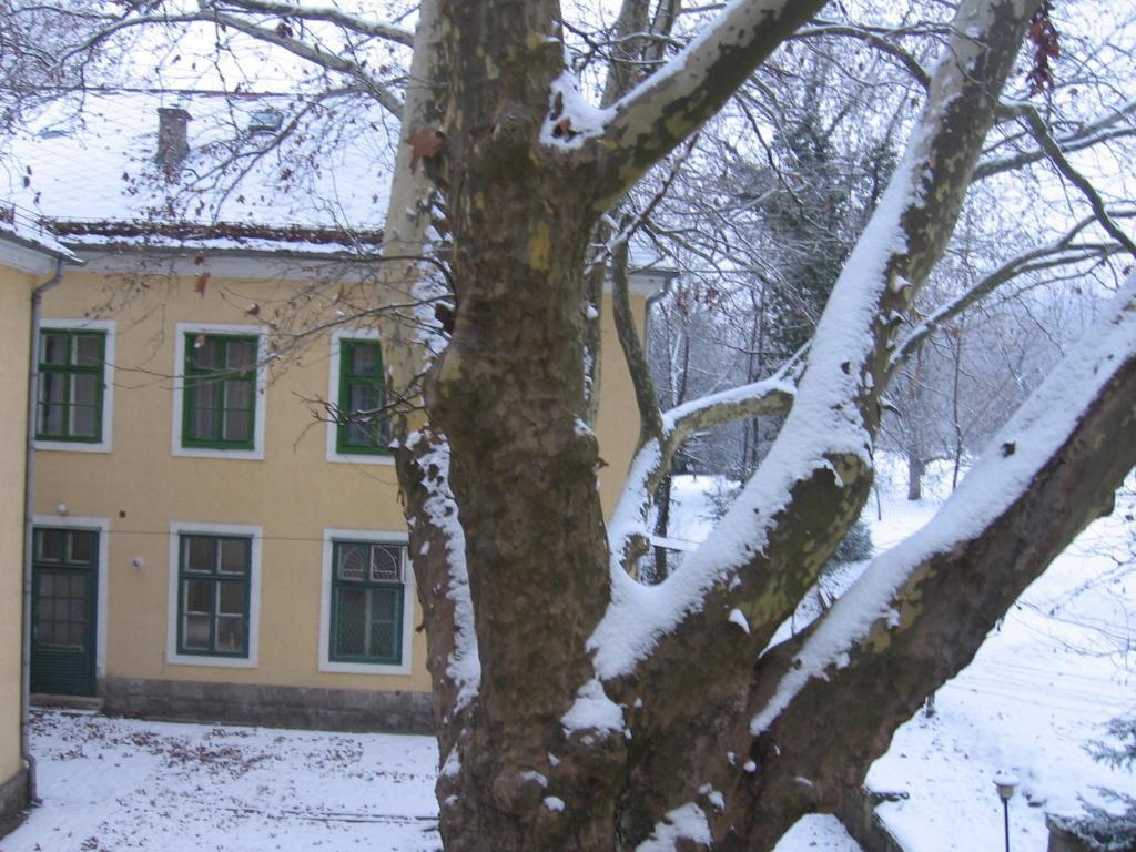 Hôtel Mater Salvatoris House à Gödöllő Extérieur photo